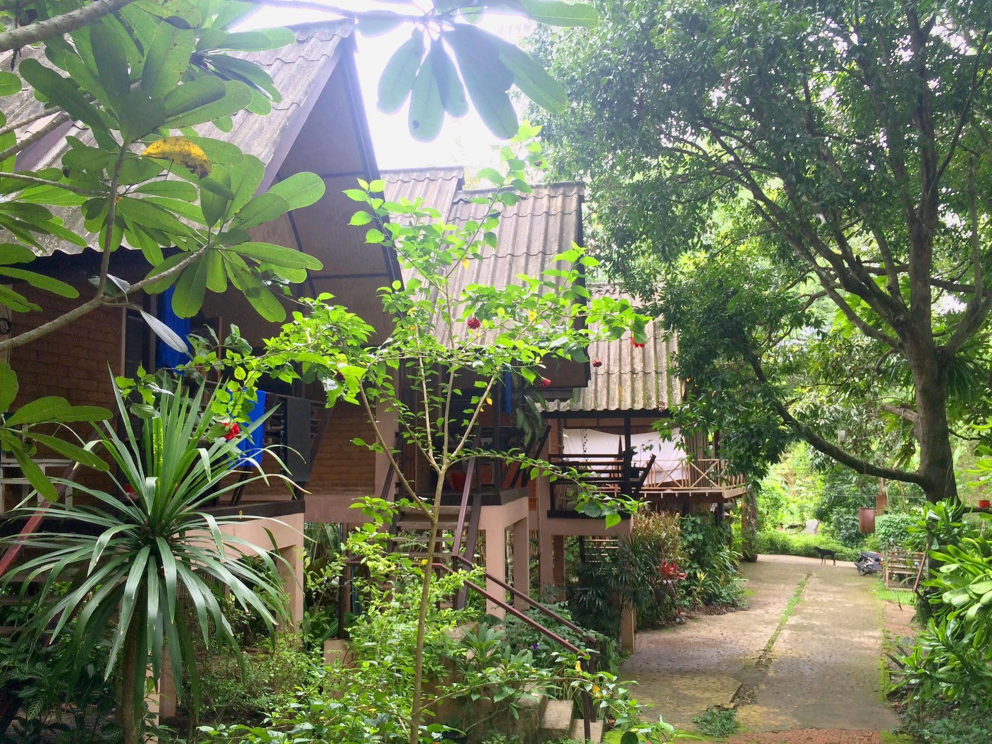 Misty View Guesthouse Pai Esterno foto